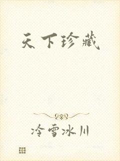 天下珍藏