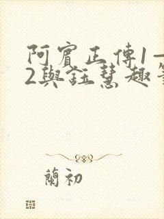 阿宾正传1—72与钰慧趣笔阁