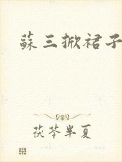 苏三掀裙子封面