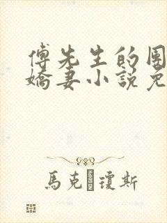 傅先生的团宠小娇妻小说免费阅读封面