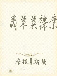 宁荣荣被唐三桶叫个不停小说