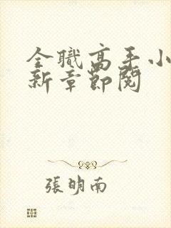 全职高手小说最新章节阅封面