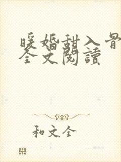 暖婚甜入骨小说全文阅读