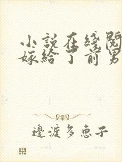小说在线阅读我嫁给了前男友他堂哥