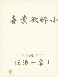 春棠欲醉小说