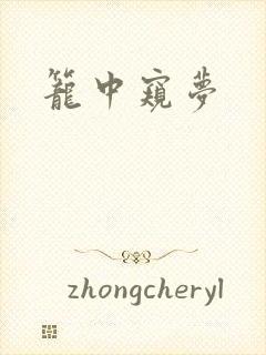 笼中窥梦封面