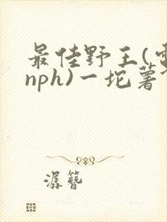 最佳野王(电竞nph)一坨薯饼