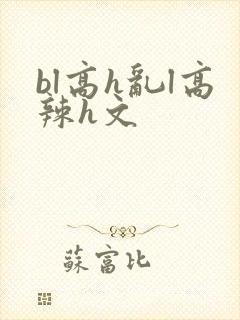 bl高h乱l高辣h文封面