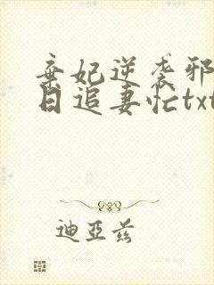 弃妃逆袭邪王日日追妻忙txt封面