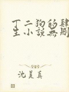 丁二狗的肆意人生小说无删减