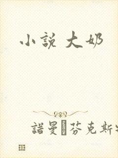 小说 大奶