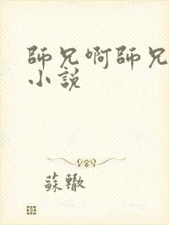 师兄啊师兄原著小说