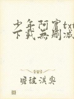 少年阿宾txt下载无删减