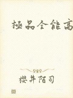 极品全能高手封面