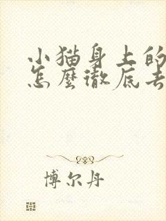 小猫身上的跳蚤怎么彻底去除
