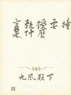 言教授要撞坏了是什么