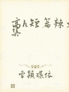 高h短篇辣文合集