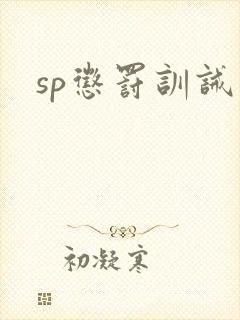 sp惩罚训诫文