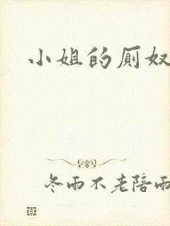 小姐的厕奴