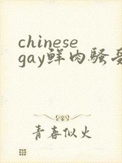 chinesegay鲜肉骚受勾引直男封面