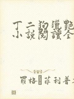 丁二狗猎艳人生小说阅读全文