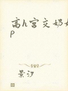 高h宫交奶奴4p