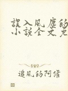 误入风尘的爱情小说全文免费阅读
