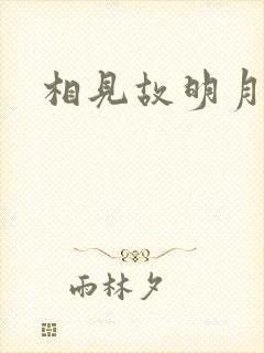 相见故明月