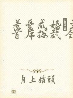 惹爱成婚·染指首席总裁 全文阅读封面