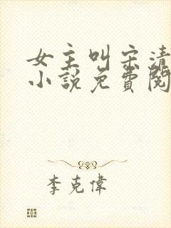 女主叫宋清禾的小说免费阅读