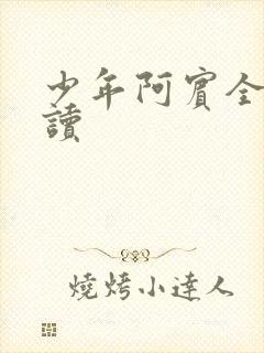 少年阿宾全集阅读封面