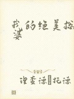 我的绝美总裁老婆