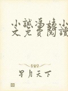 小诚冯姨小说全文免费阅读最新章节封面