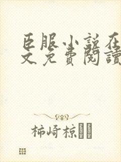 臣服小说在线全文免费阅读笔趣阁无弹窗