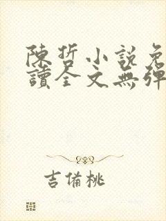 陈哲小说免费阅读全文无弹窗封面