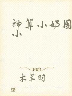 神算小奶团驾到小
