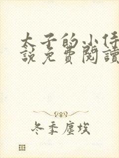 太子的小侍妾小说免费阅读全文