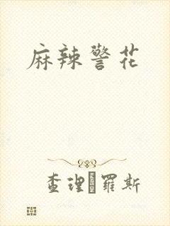 麻辣警花