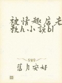 被情趣店老板调教h小说bl封面
