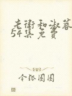 老卫和淑蓉1一54集免费
