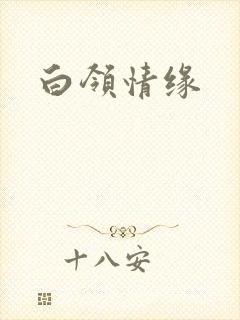 白领情缘