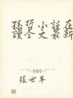 孙哲小说在线阅读全文最新