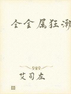 全金属狂潮小说封面