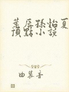叶辰孙怡夏若雪顶点小说