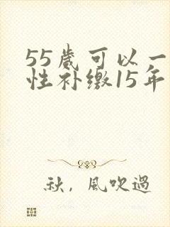 55岁可以一次性补缴15年养老保险吗