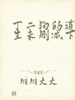 丁二狗的逍遥人生未删减下载封面