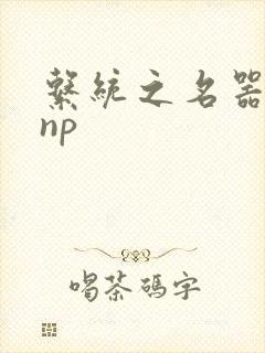 系统之名器攻略np