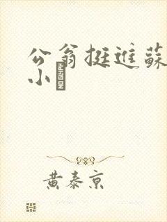 公翁挺进苏玥的小泬