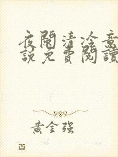 夜阑清冷意欢小说免费阅读