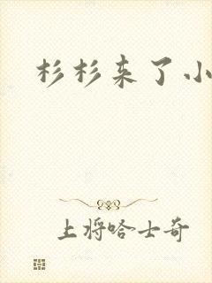 杉杉来了小说封面